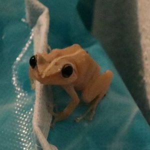 Meet your Posher, Derek